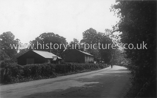 The Village, Hatfield Perevel, Essex. c.1920's